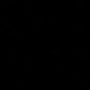 Meet your Posher, Jaren